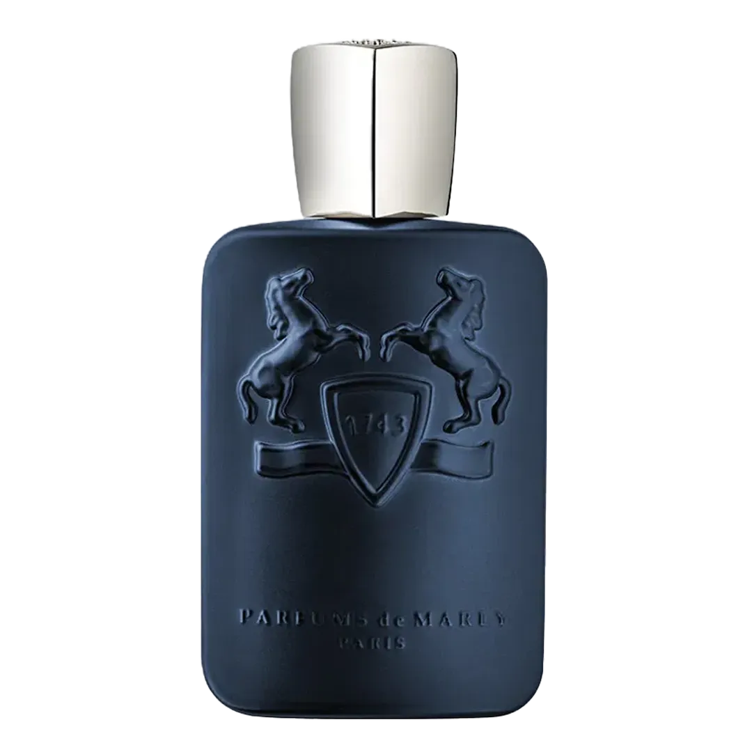 LAYTON EXCLUSIF (FRAGHEAD CLASS)